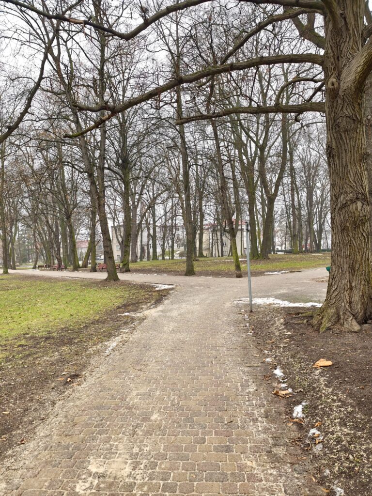 Zbliża się wiosna w Wieluniu